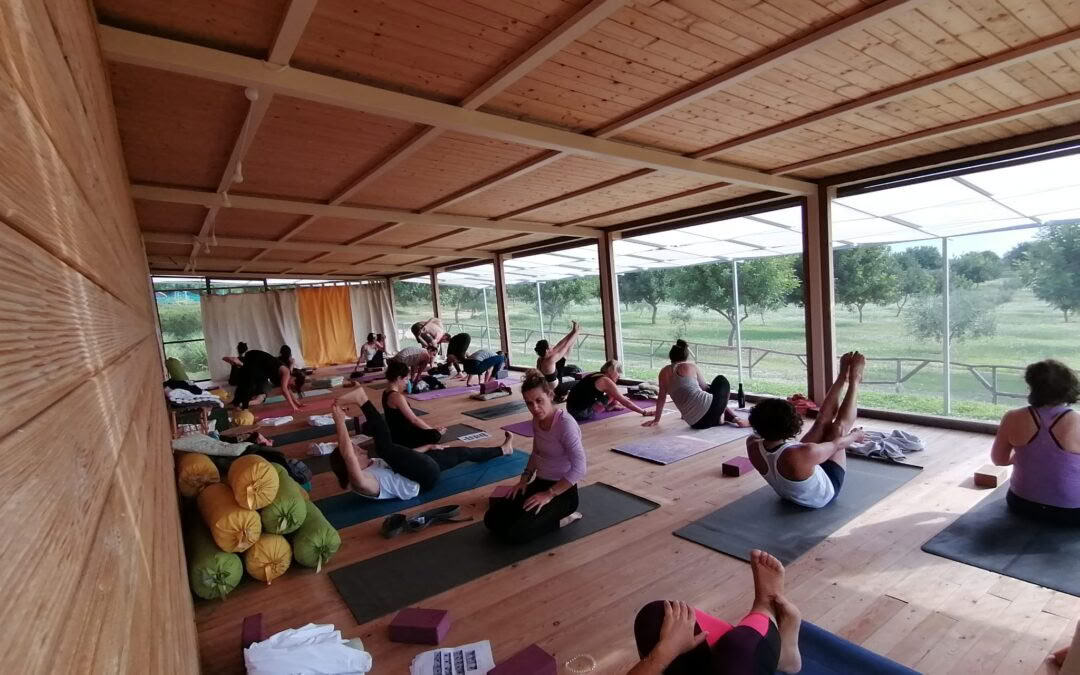 Scent of citrus Retreat - Yoga&Art-Reise