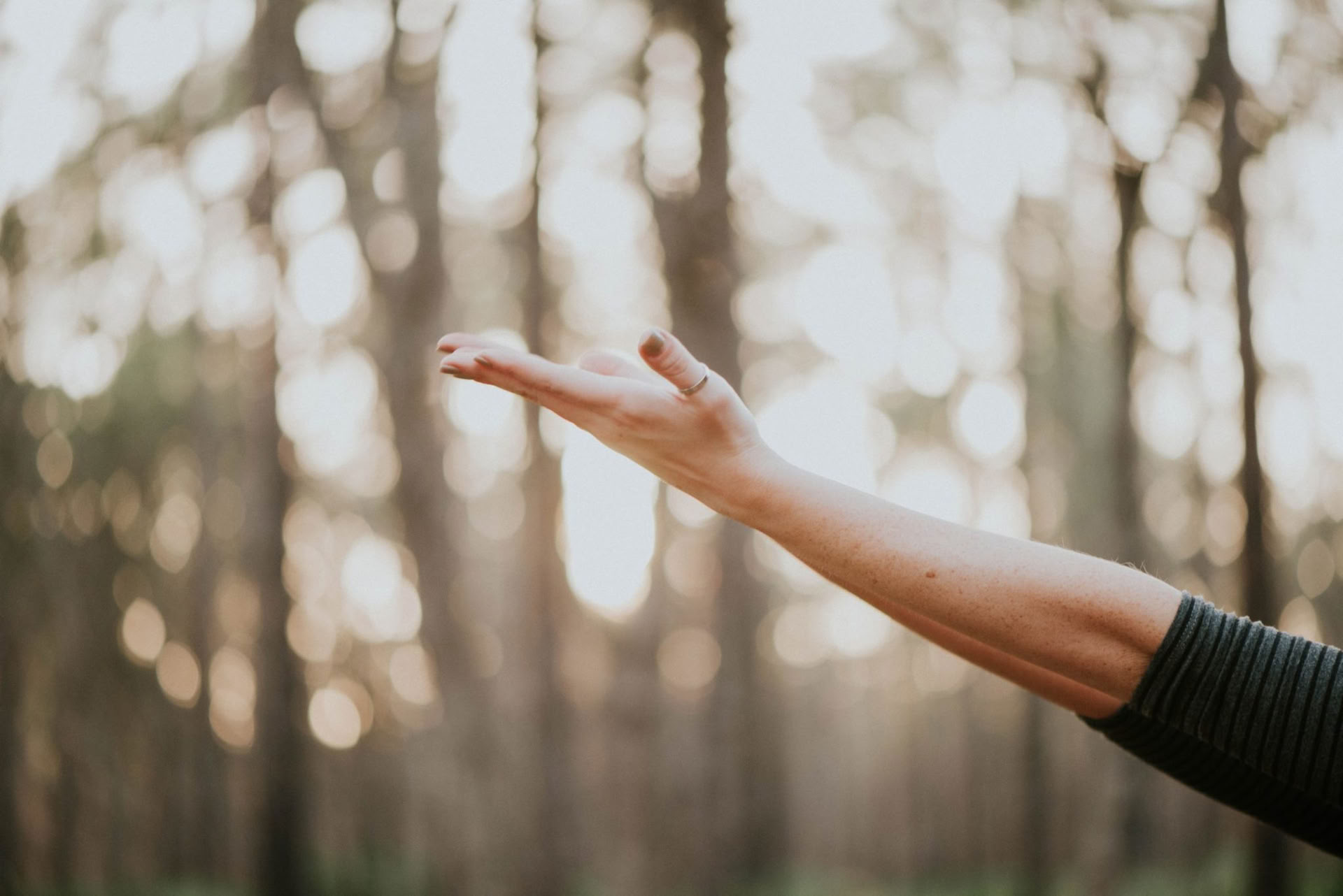 Wellness Within: Achtsame Bewegung und Meditations-Retreat-Wochenende