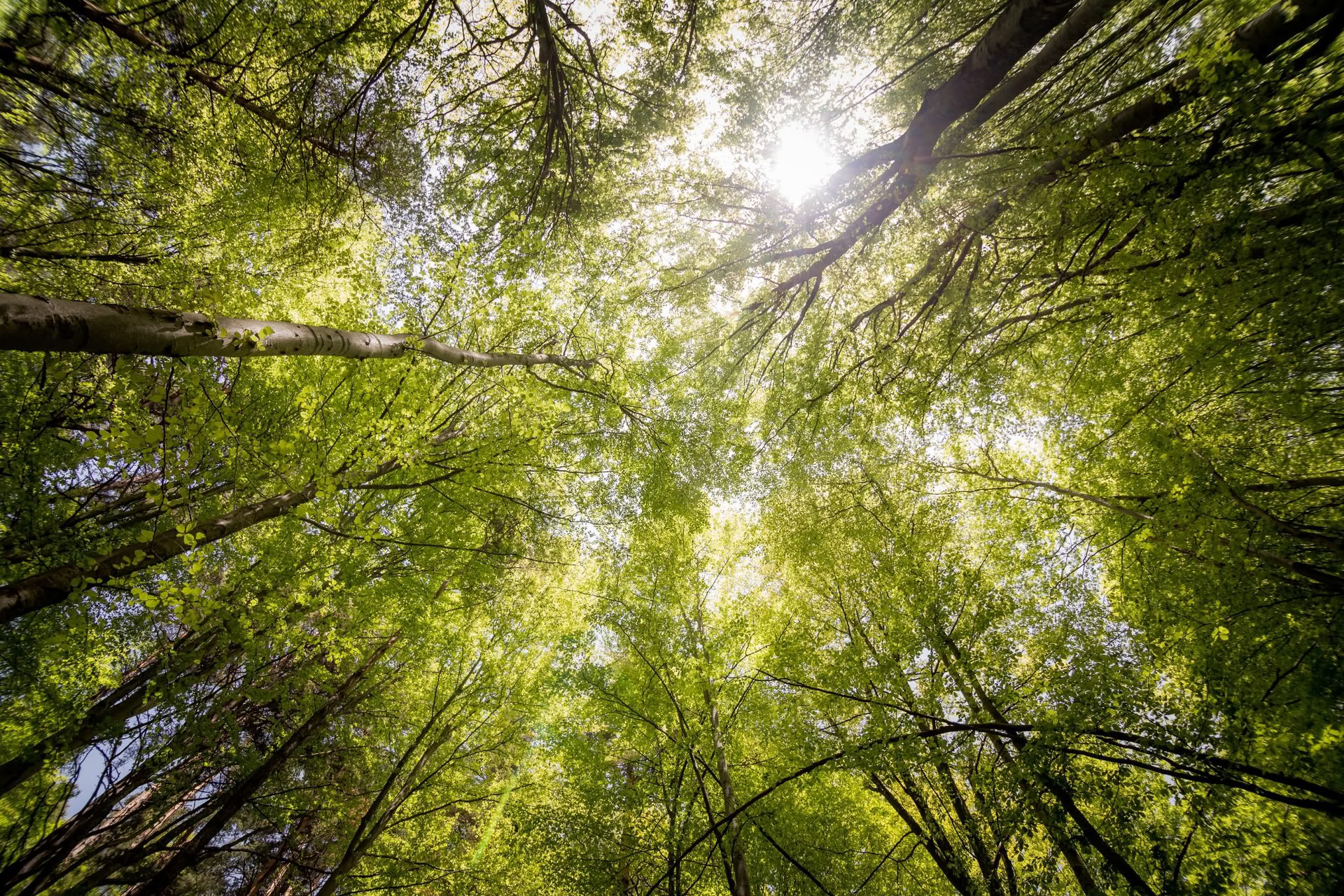 Wellness Within: Achtsame Bewegung und Meditations-Retreat-Wochenende