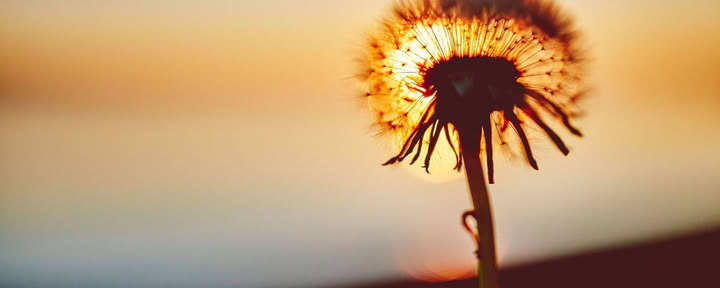 Bring dich zum Strahlen! Yoga-Retreat