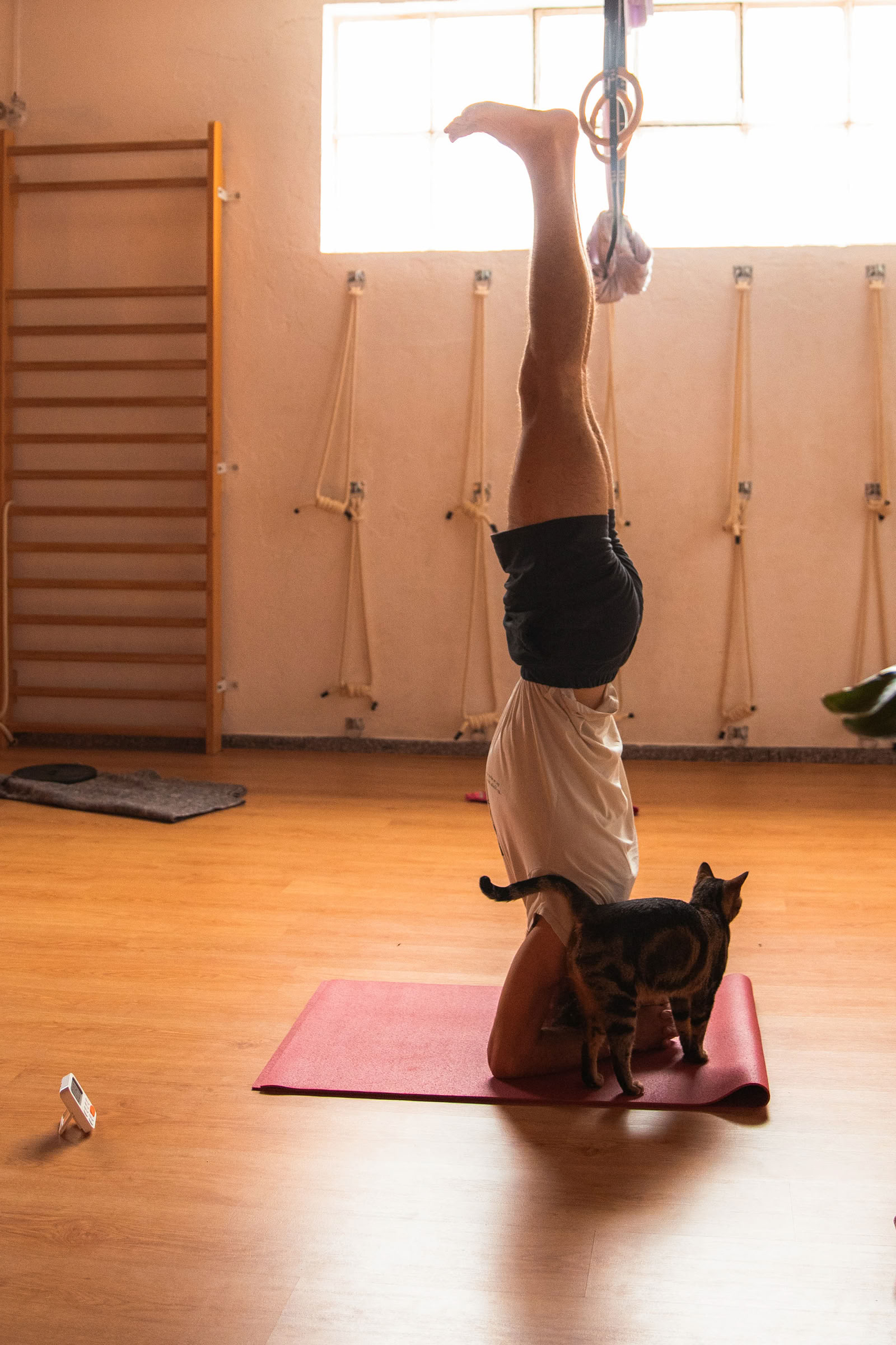 Das geheime Leben der Faszien – Workshop