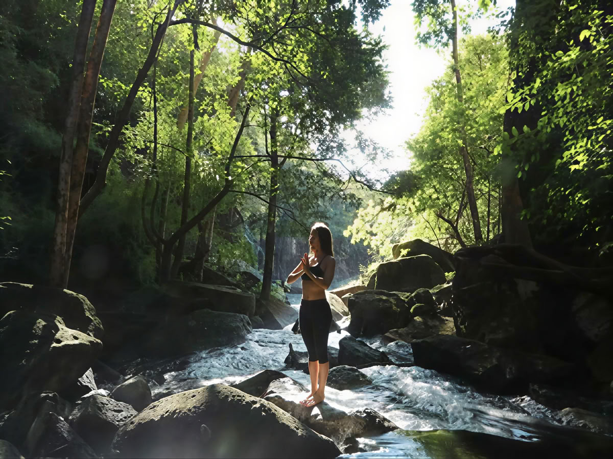 Las Natural Wonders of Bijagua (Wandertour und Vogelbeobachtung)