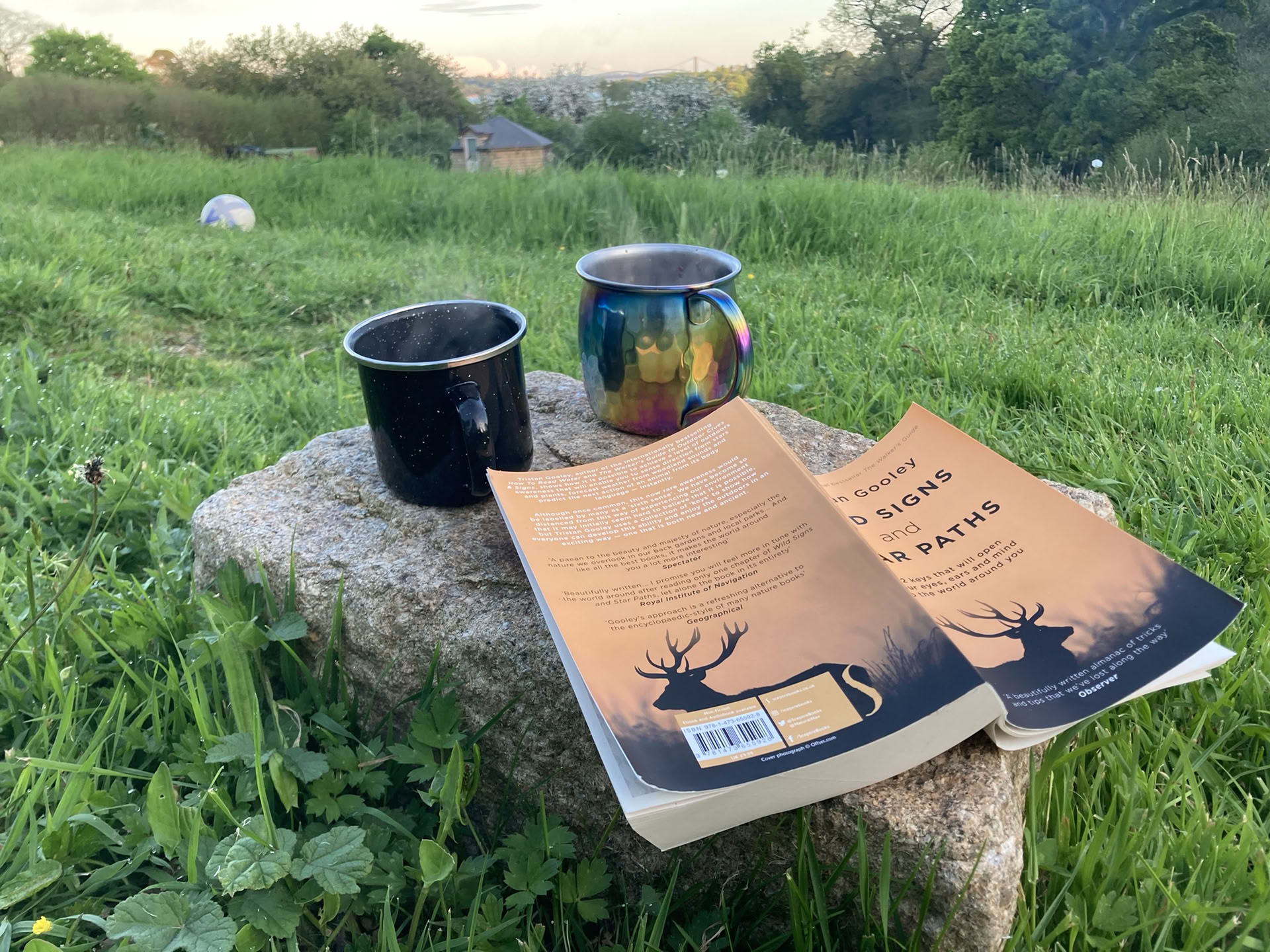 Reading Retreat – Hunde freundlich - Oktober '26