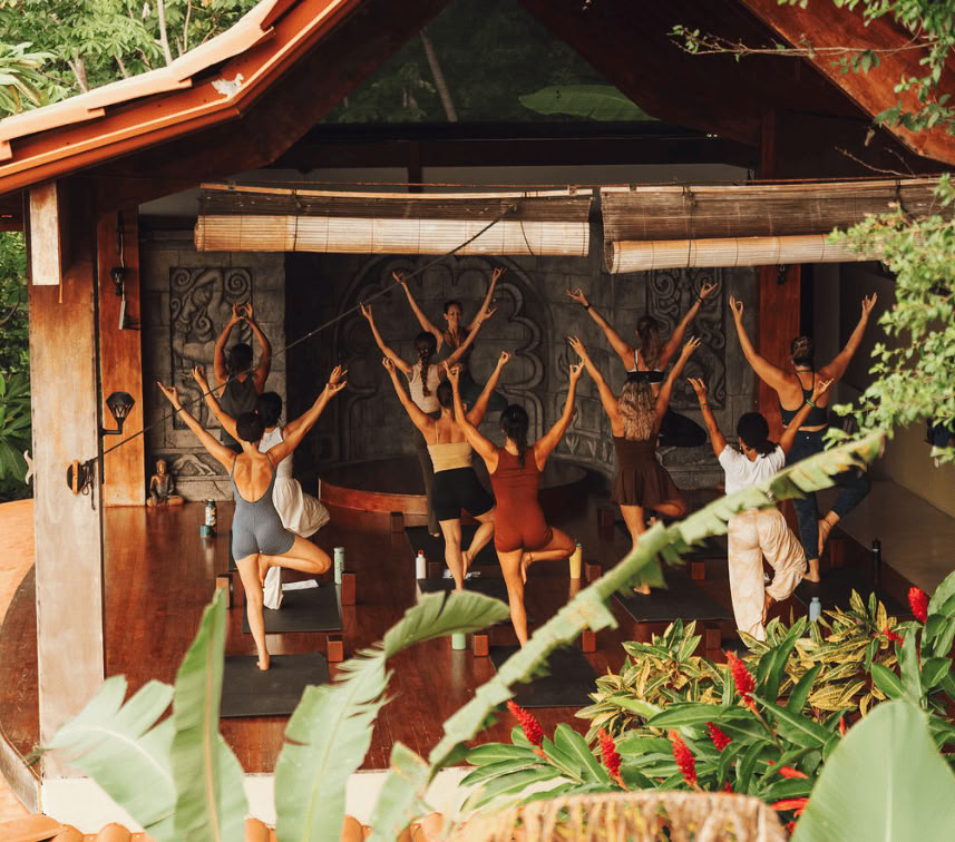 Retreat: Wild von Natur aus – Angela Boltz