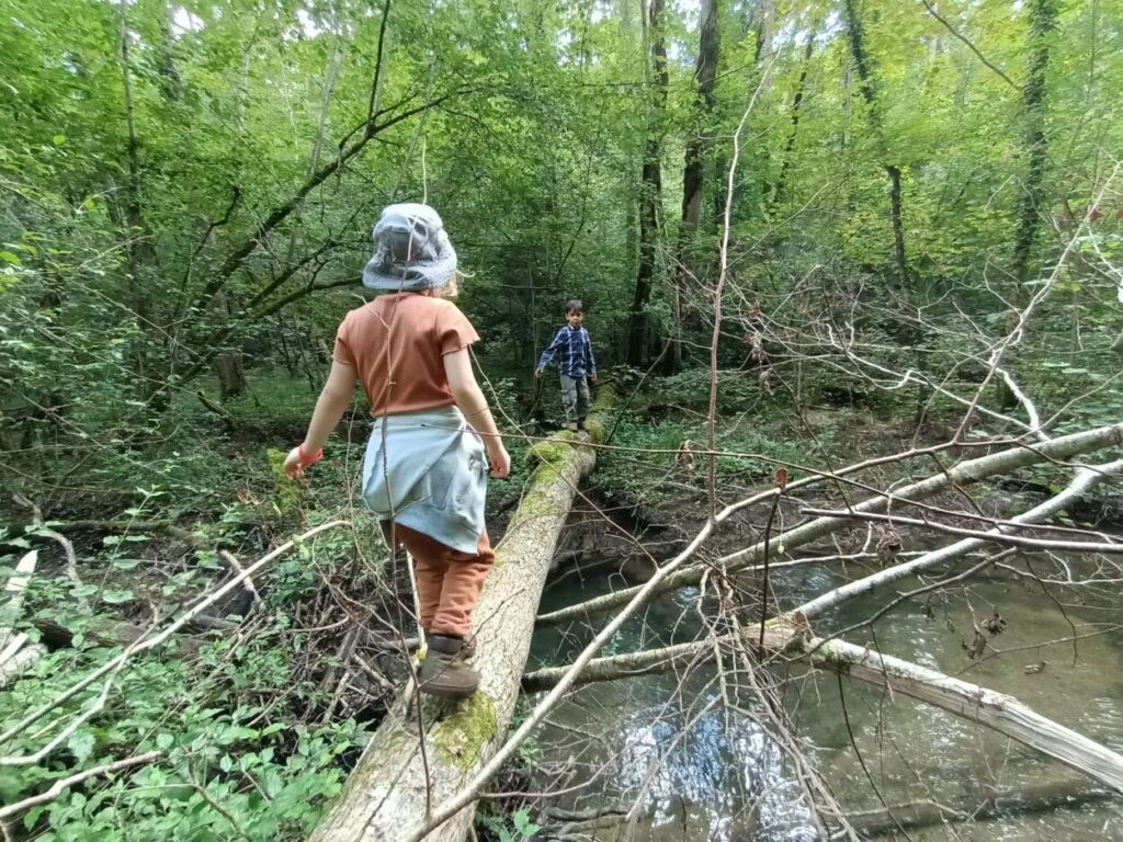 Über Hobbits, Elfen, Zwerge, Menschen und Zauberer: Kinderwoche mit Richard