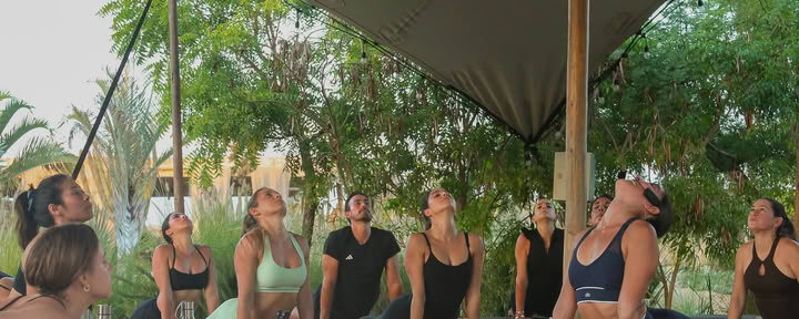Yoga-Kurs