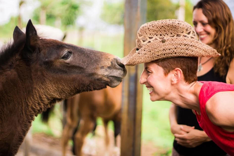 Horse und Soul mit Danielle Mackinnon