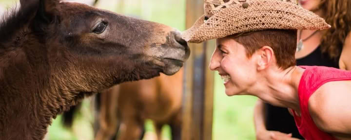 Horse und Soul mit Danielle Mackinnon