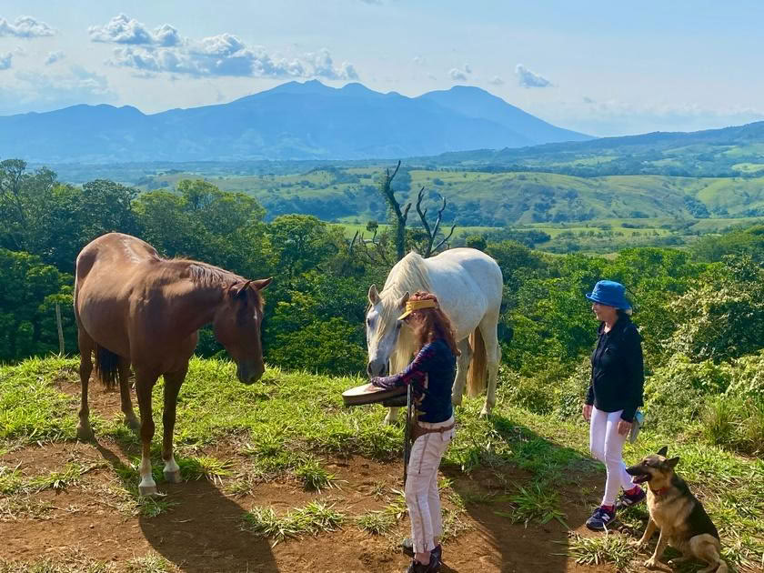 Constellations mit Pferden in Costa Rica 2026
