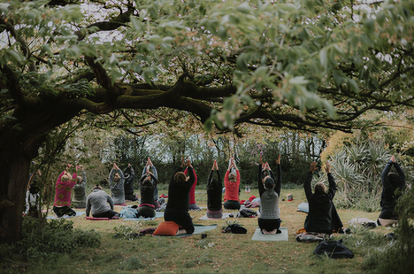 Yin Yang Yoga mit Molly