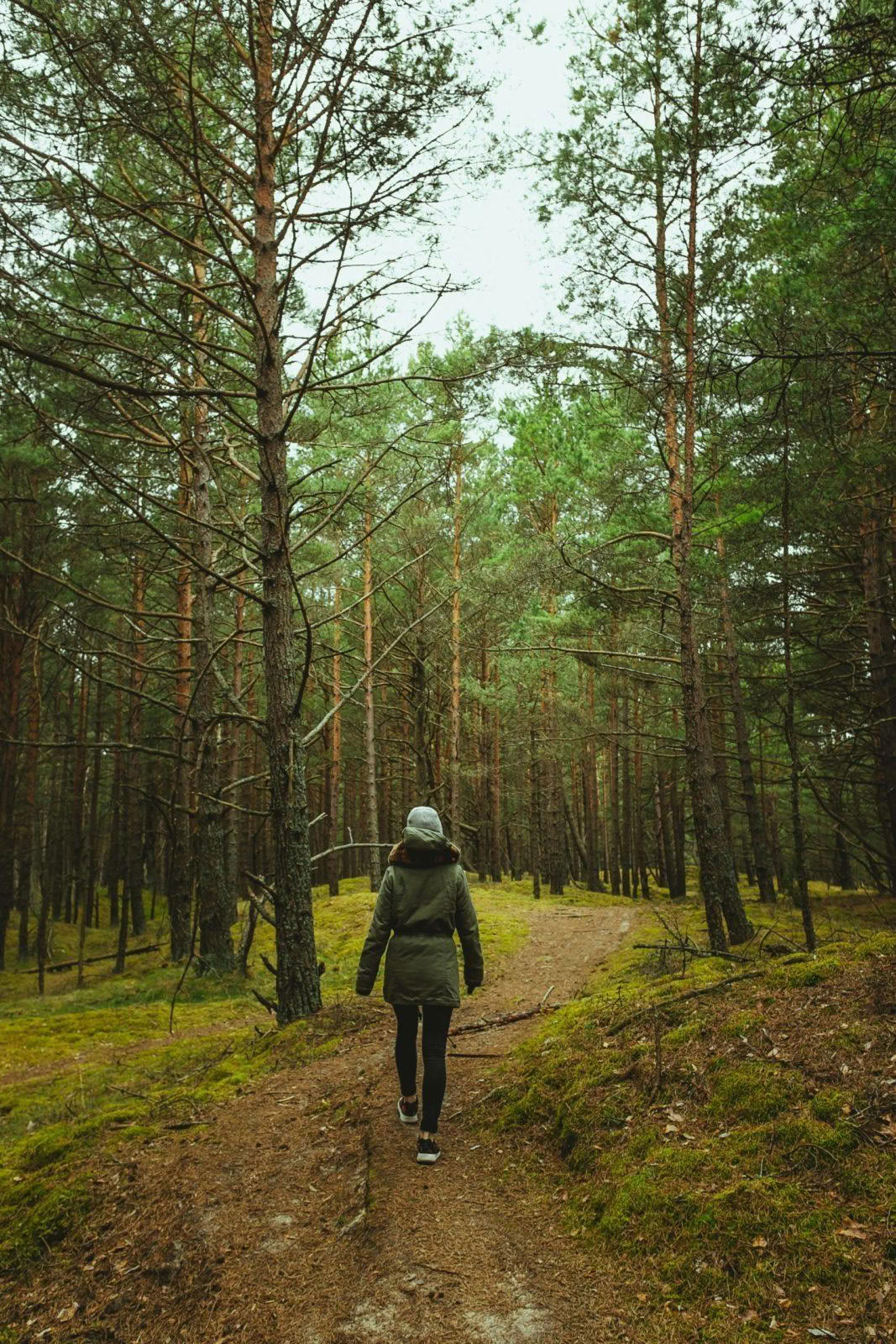 Solo Retreat