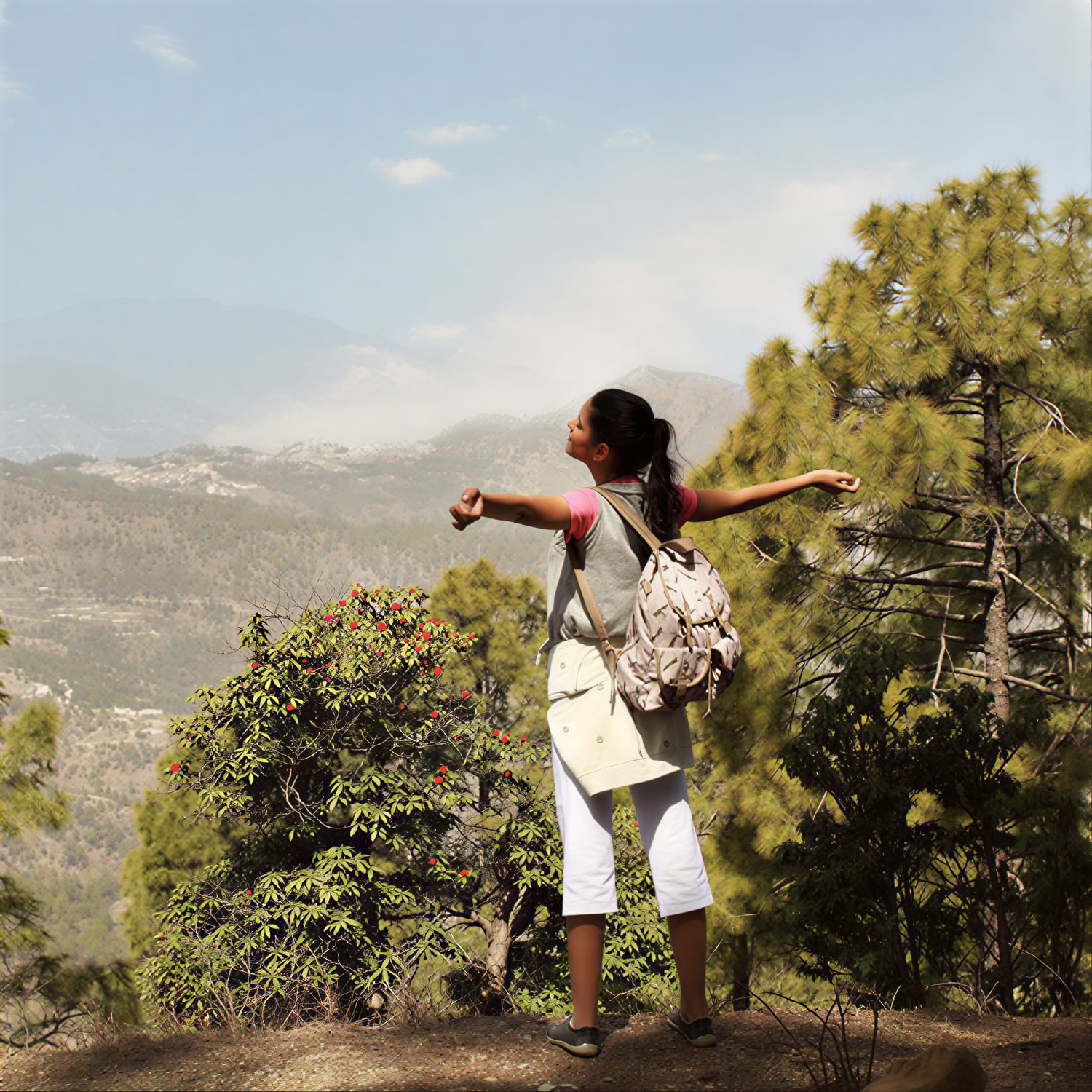 Ananda in den Himalayas