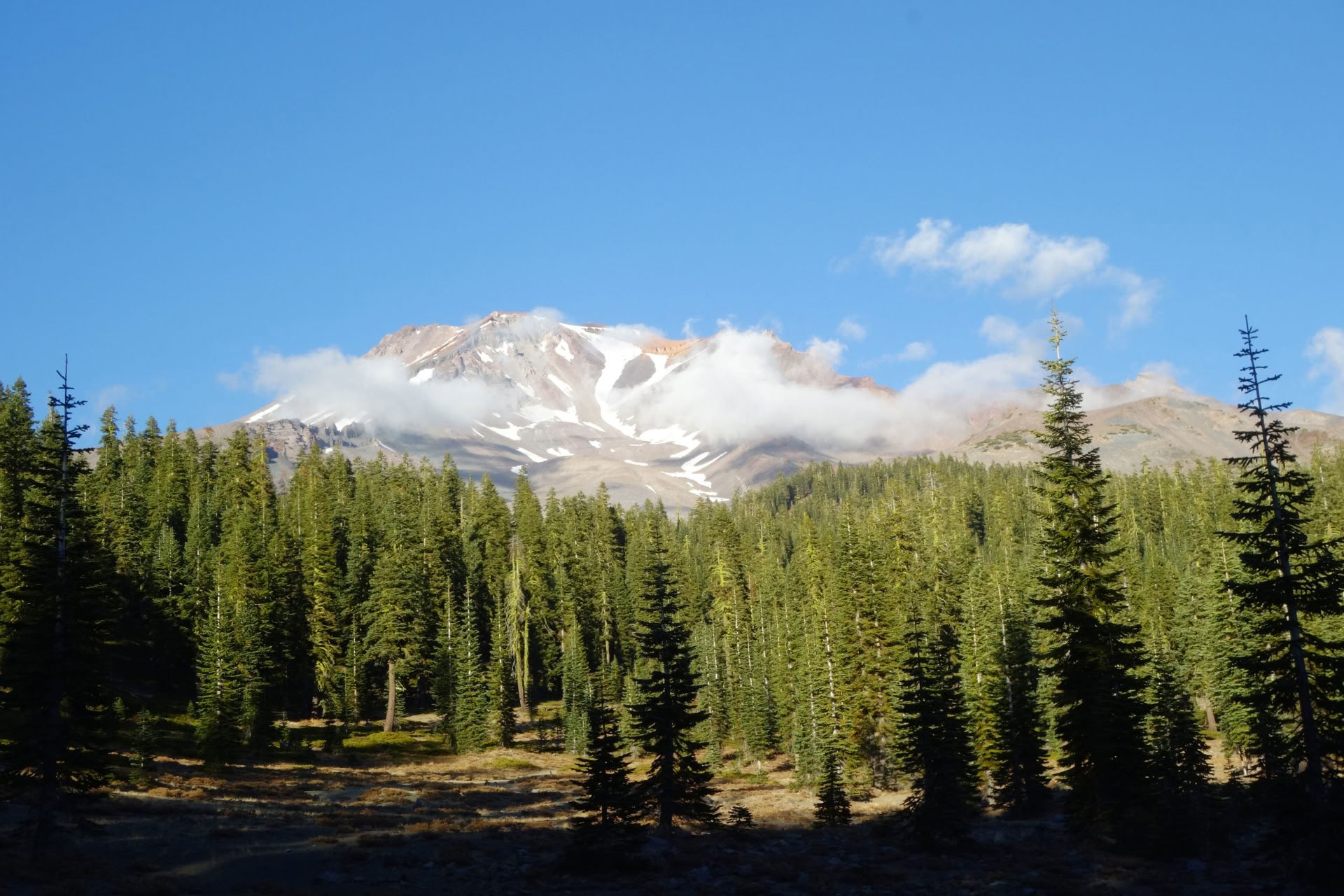 Summer Sonnwenden-Tour - Heilige Reise am Mount Shasta