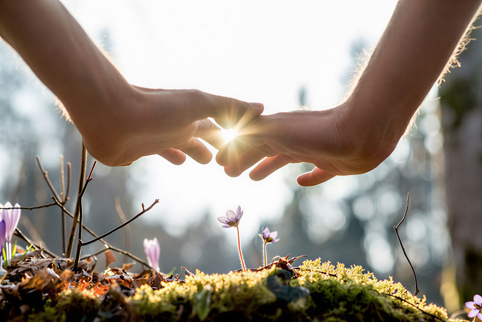 Panchakarma · 7–14 Tage Ayurveda-Kuren