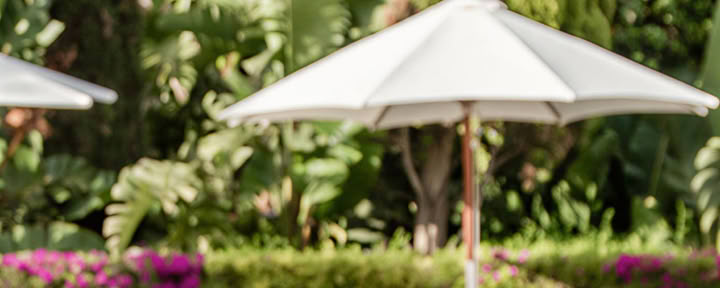 In-House-Retreat: Erwachendes Gleichgewicht