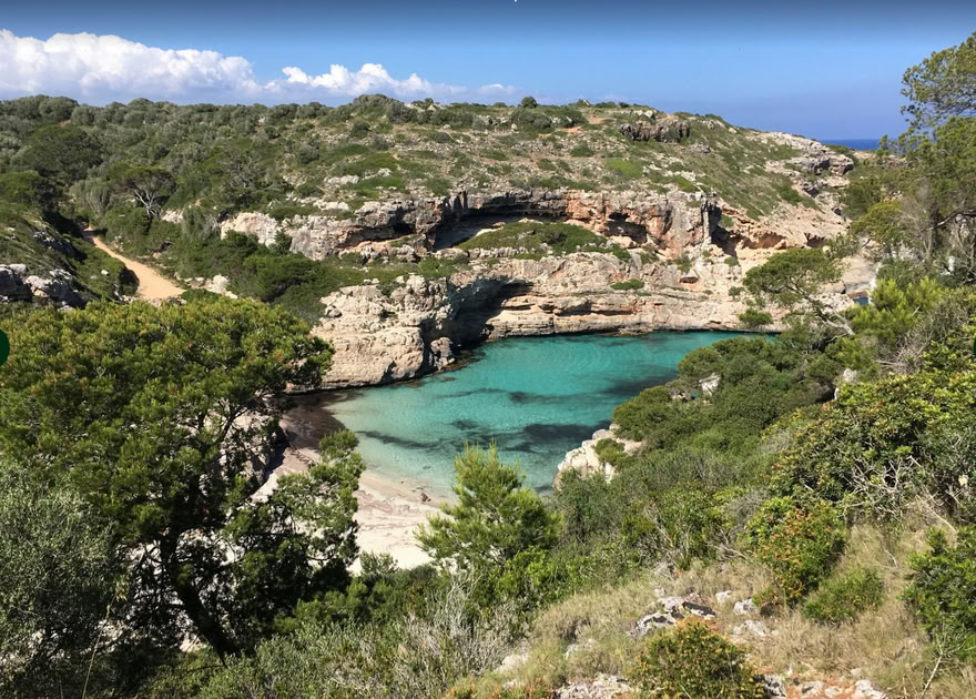 Mediterrane Flow: Yoga am Meer auf Mallorca mit Stephanie Phelan