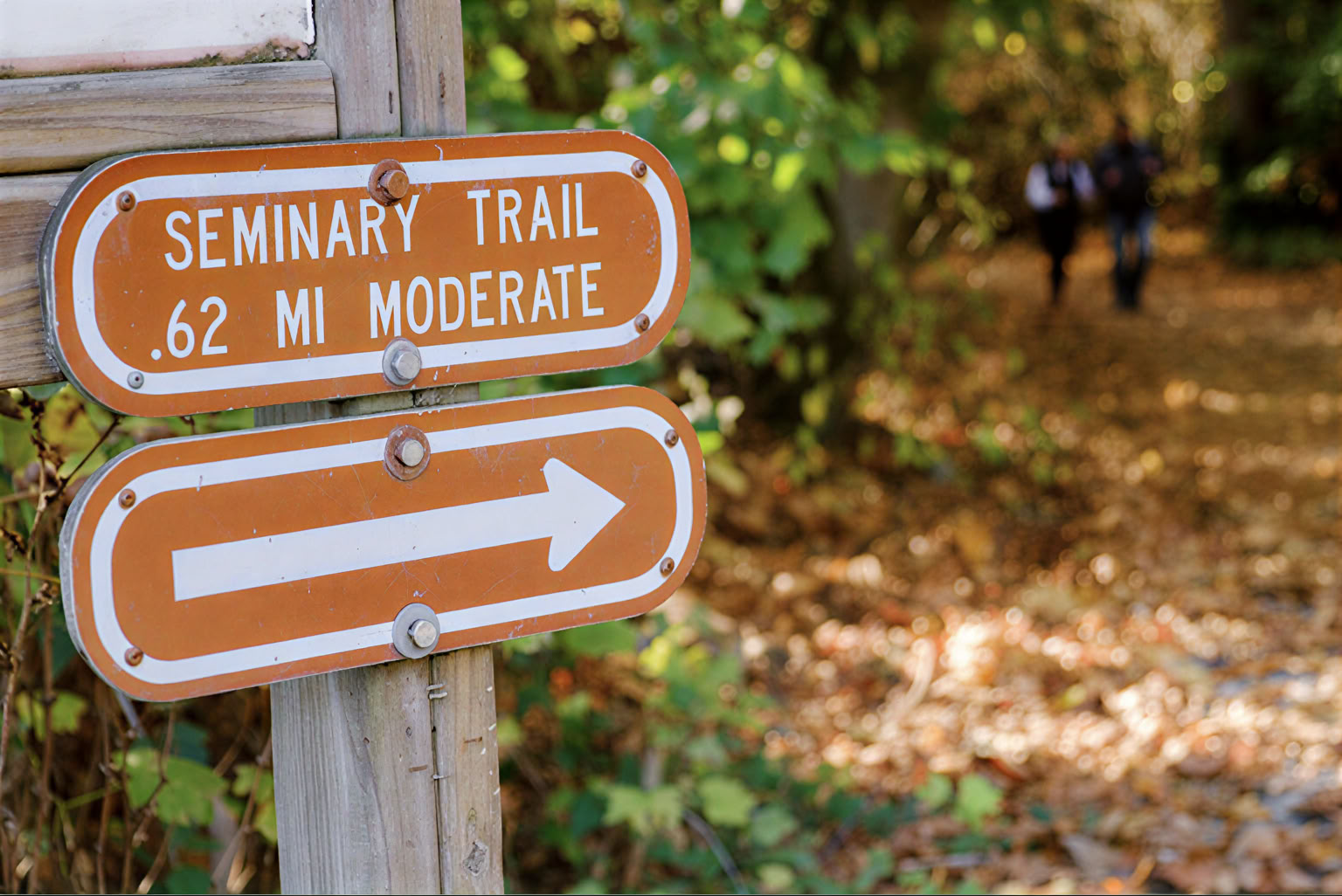 Self-Inquiry und Grace Retreat