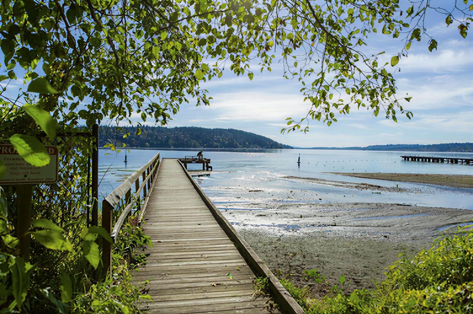 Self-Inquiry und Grace Retreat