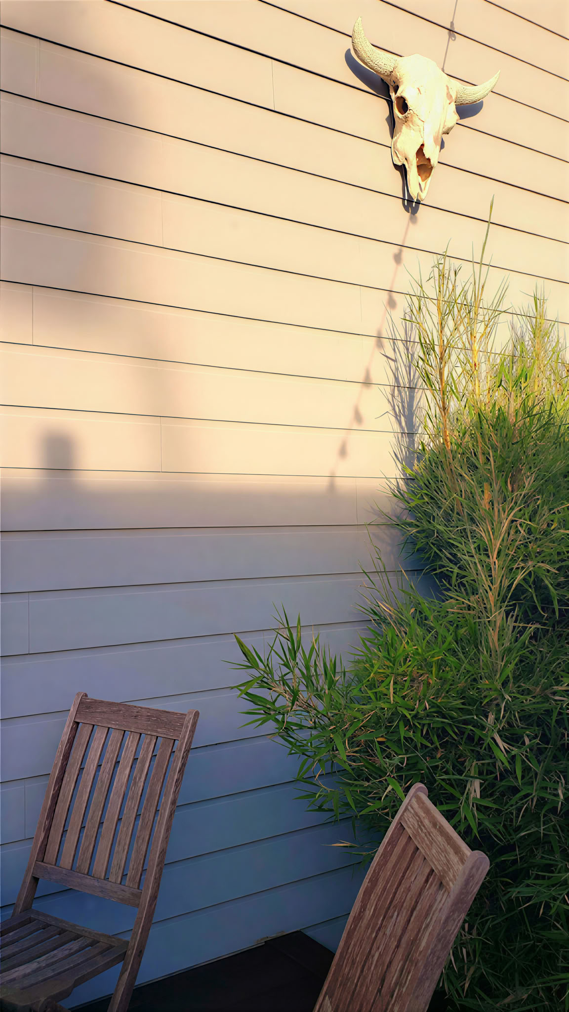 Self-Inquiry und Grace Retreat