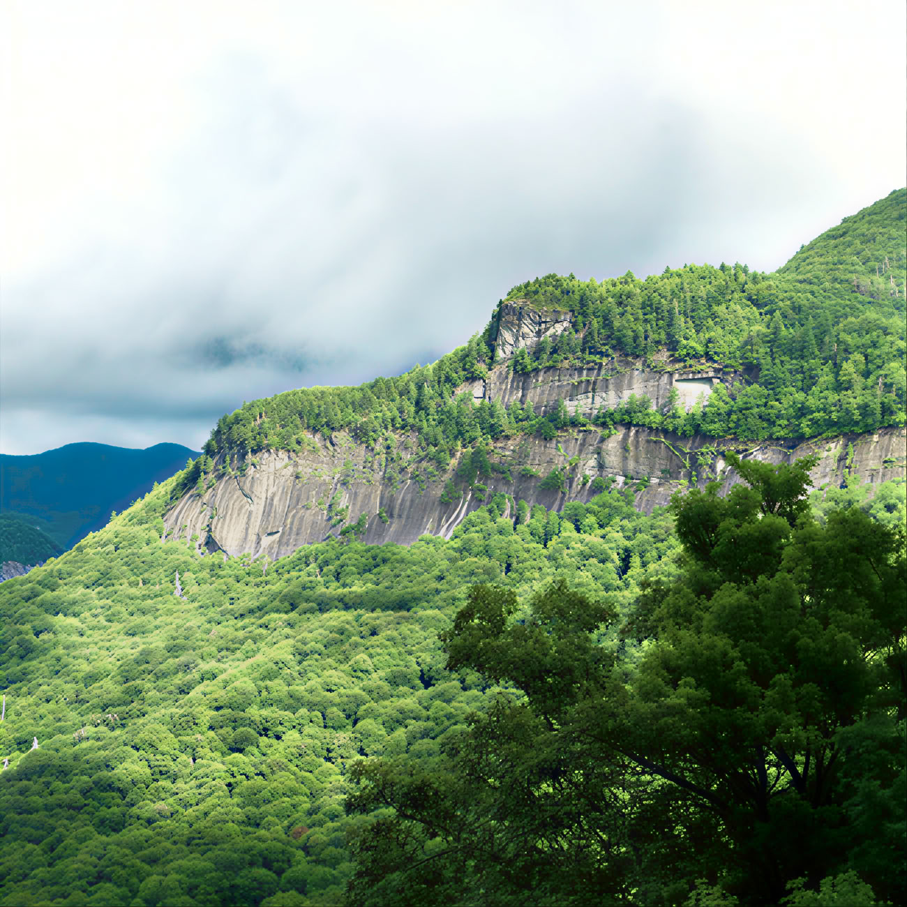 Trail zum Gipfel des Whiteside Mountain, North Carolina