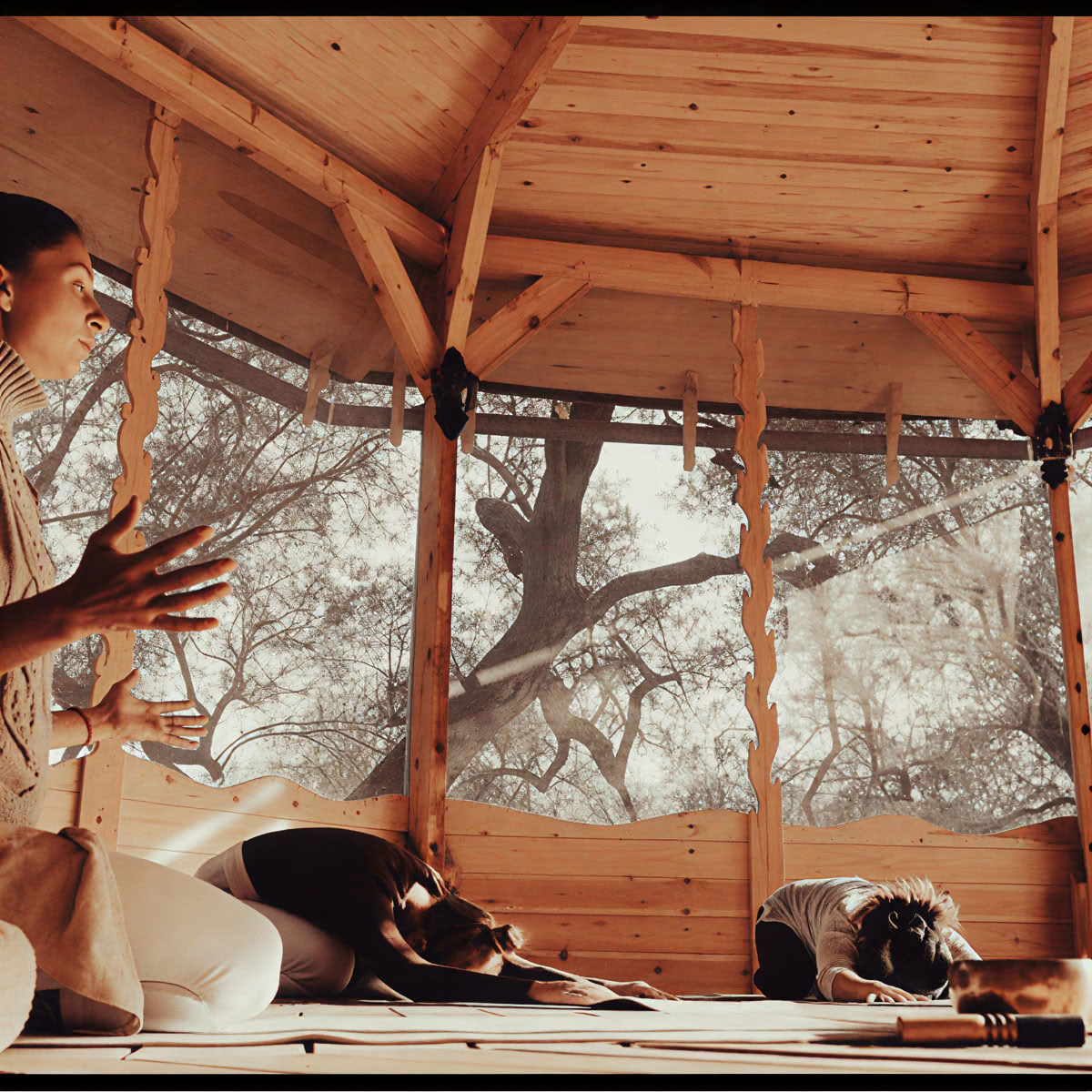 Breathwork- und Plantmedicine-Retreat