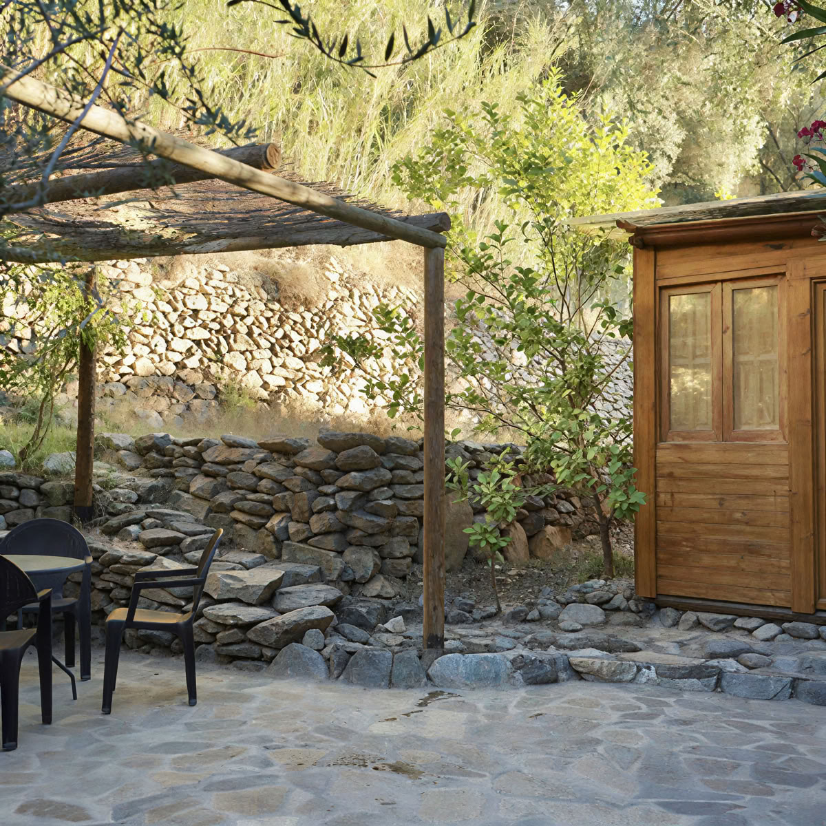 Breathwork- und Plantmedicine-Retreat