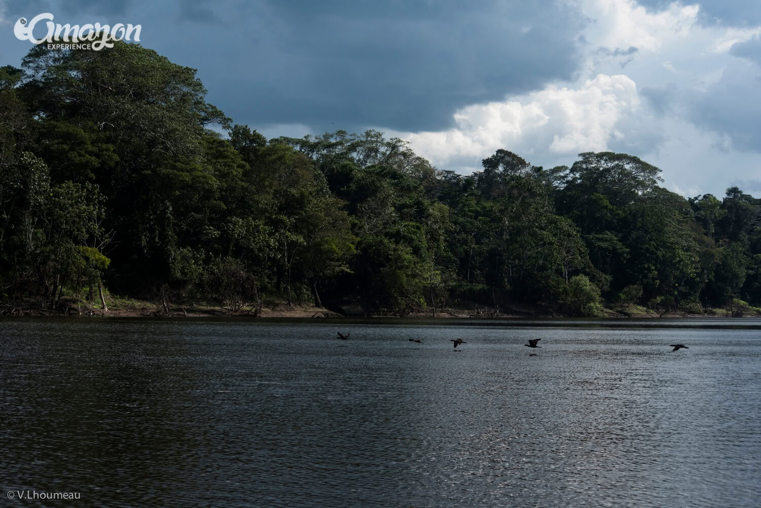 3 Tage 2 Nächte im Pacaya Samiria Nationalreservat