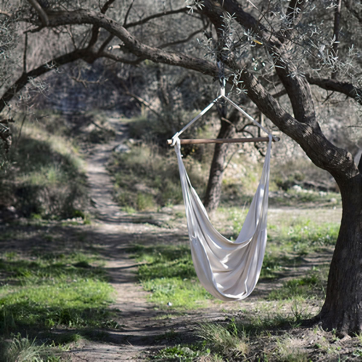 Plantmedizin- & Breathwork-Retreat in Südspanien