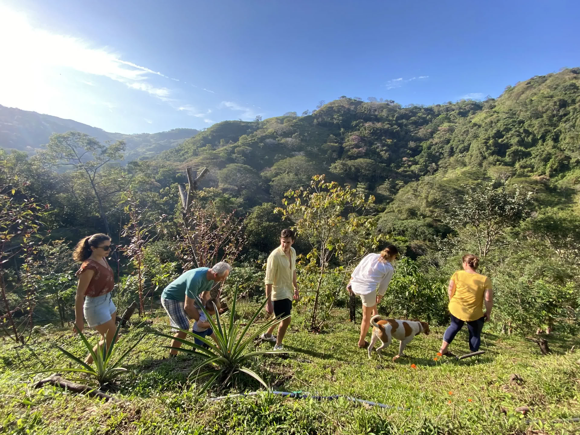 Authentisches Natur-Eintauchen Retreat