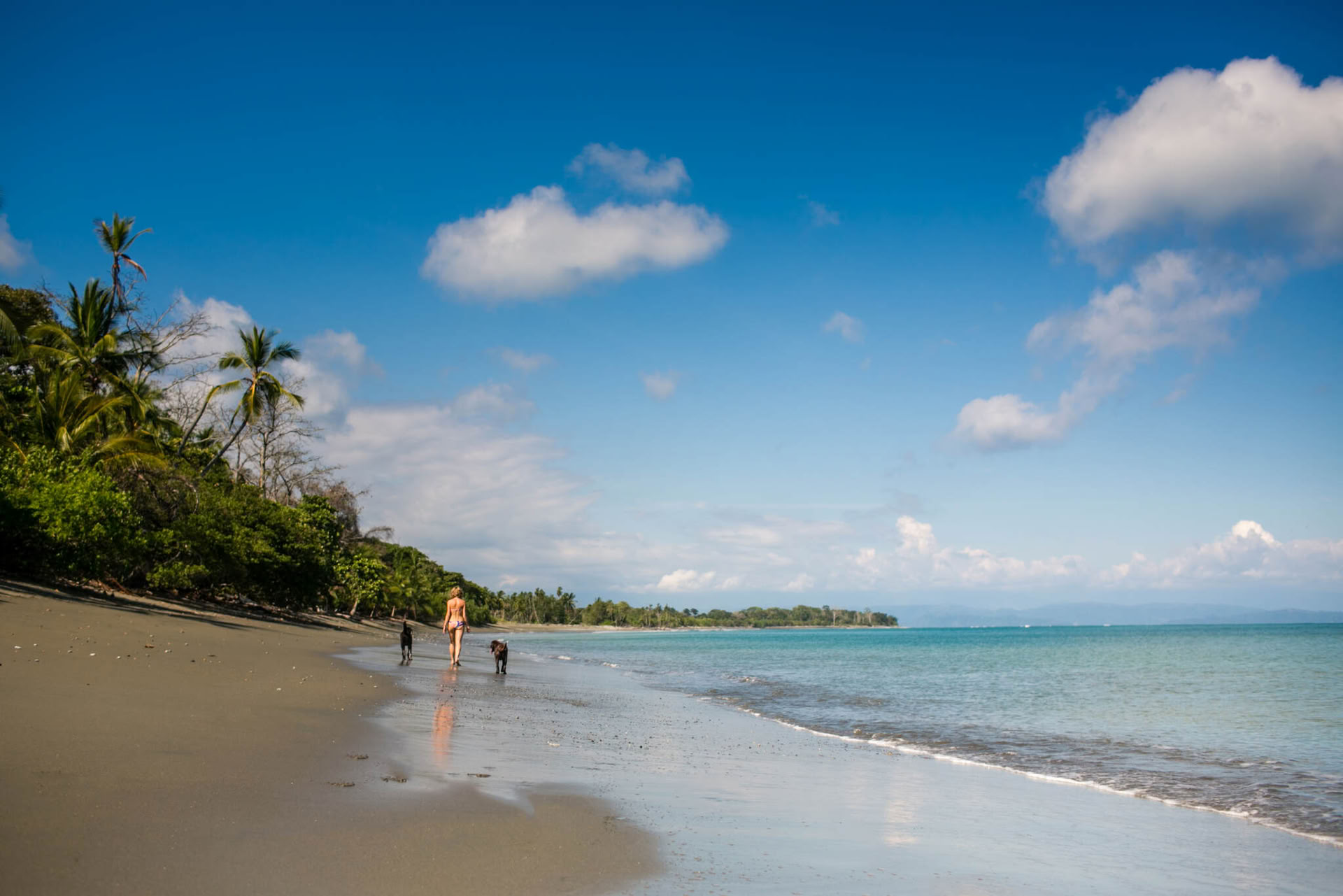 Soft Wisdom: Costa Rica Yoga- und Meditations-Retreat 2027