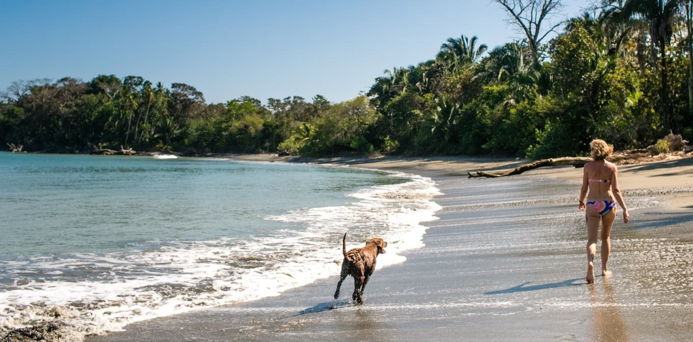 Beach und Jungle Costa Rica Yoga Retreat 2027 mit Leah