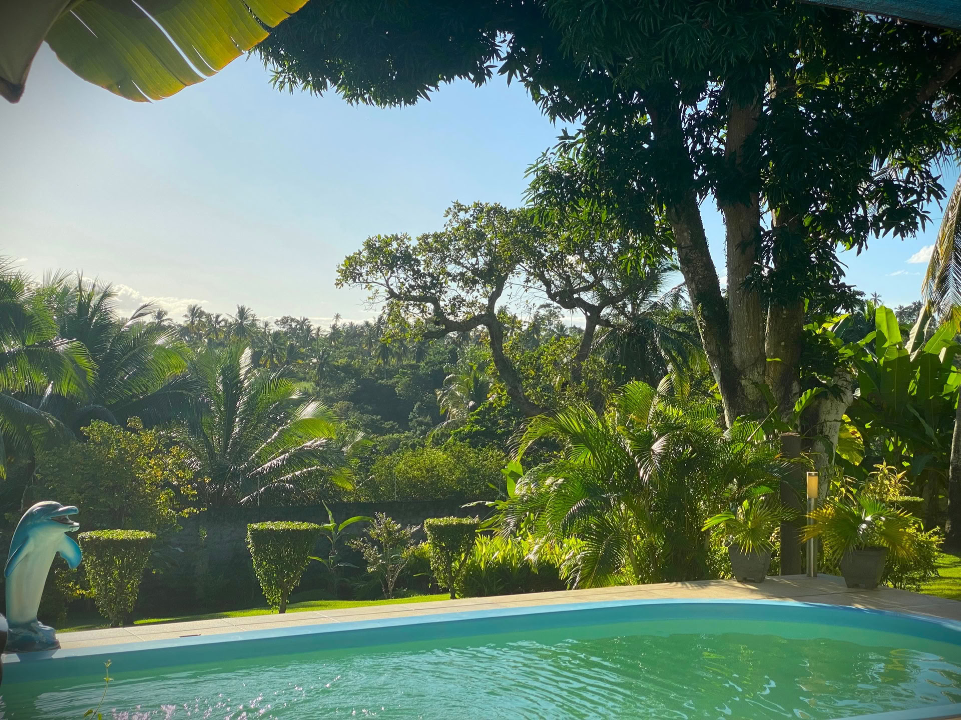 Surfcamp Bahia Brasilien