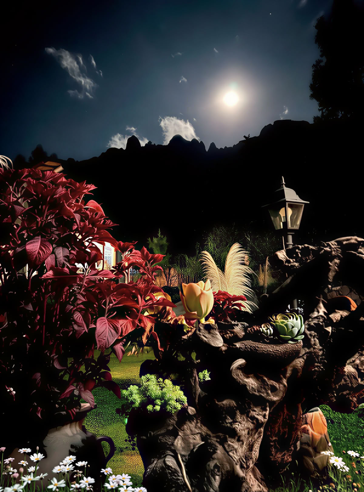 Detox Retreat
