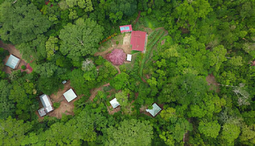 Ayahuasca Wochenend-Retreat