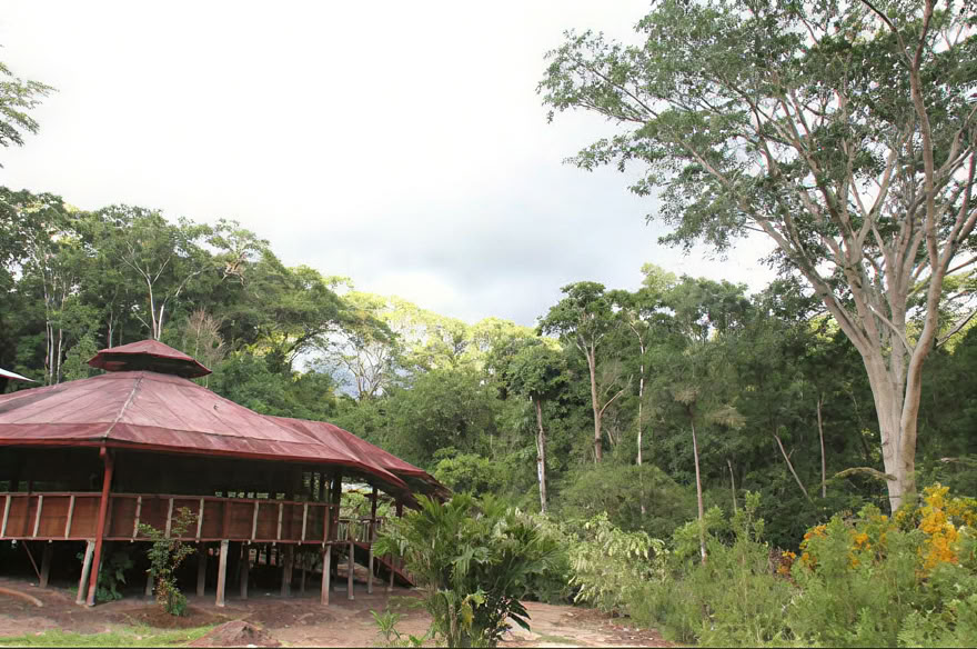 Ayahuasca Wochenend-Retreat