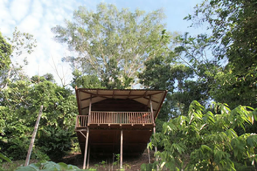 Ayahuasca Wochenend-Retreat