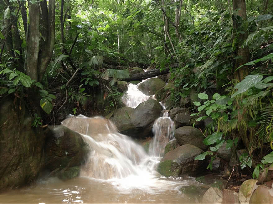 Ayahuasca Wochenend-Retreat
