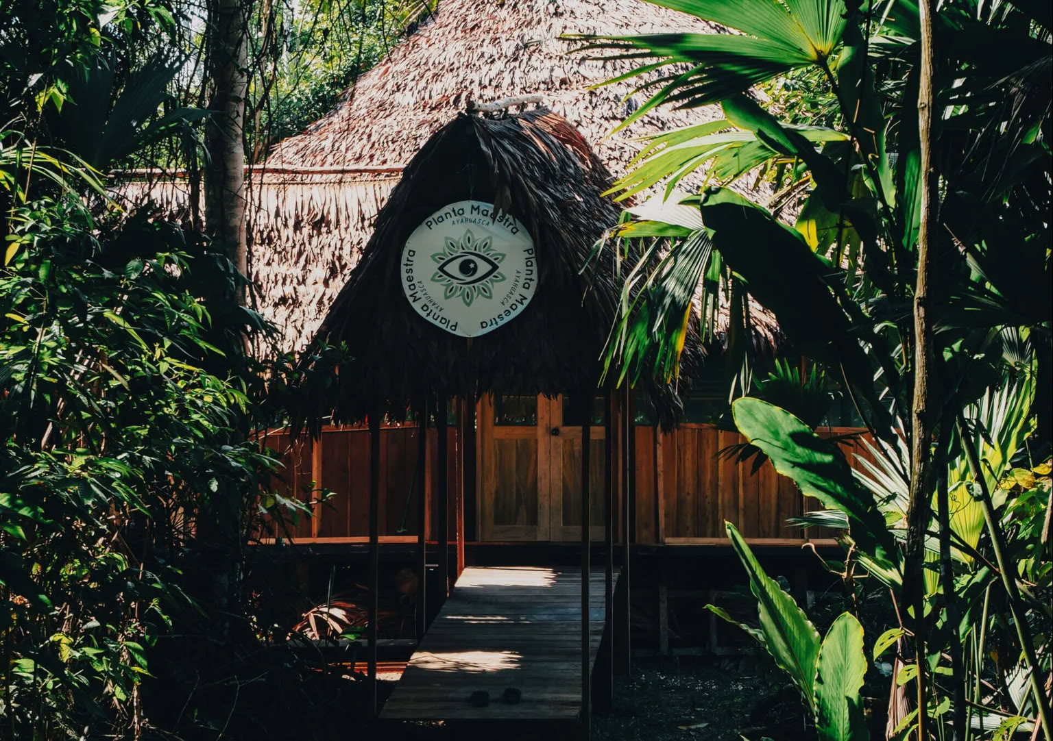 7-Tägige Ayahuasca-Einführung