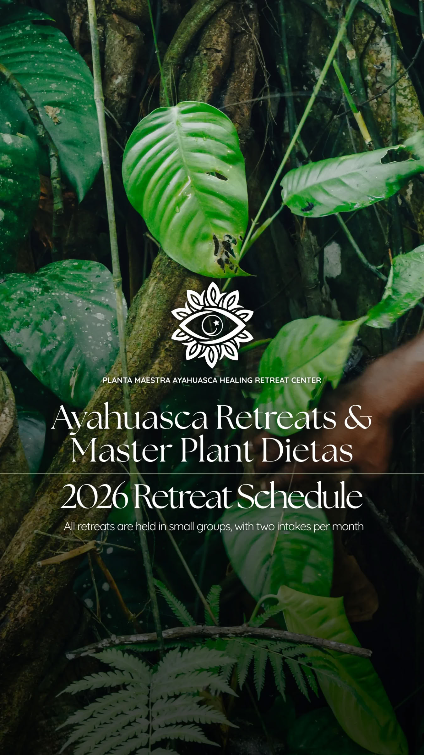 10-tägige Ayahuasca-Reise + Master-Pflanzen-Diät
