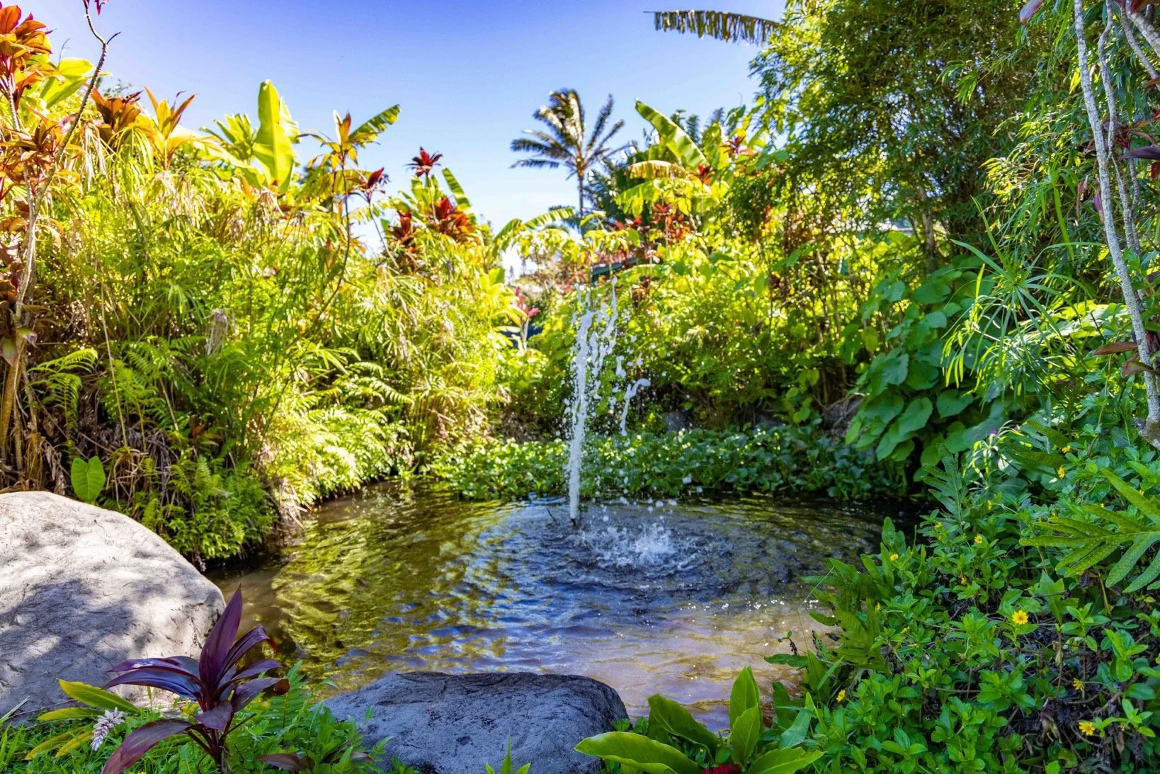 Krieg dein Leben auf die Reihe Retreat - Maui