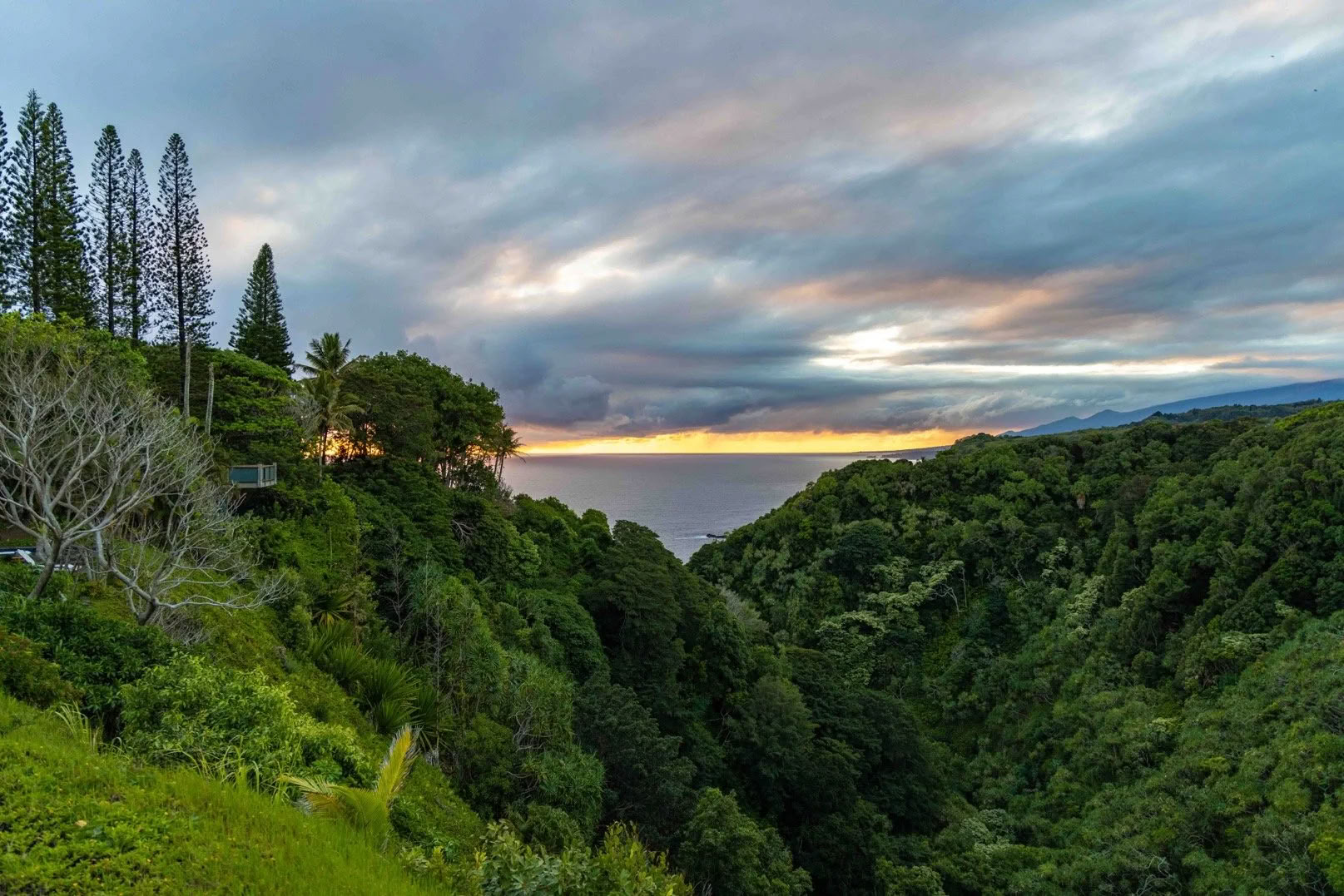 Krieg dein Leben auf die Reihe Retreat - Maui