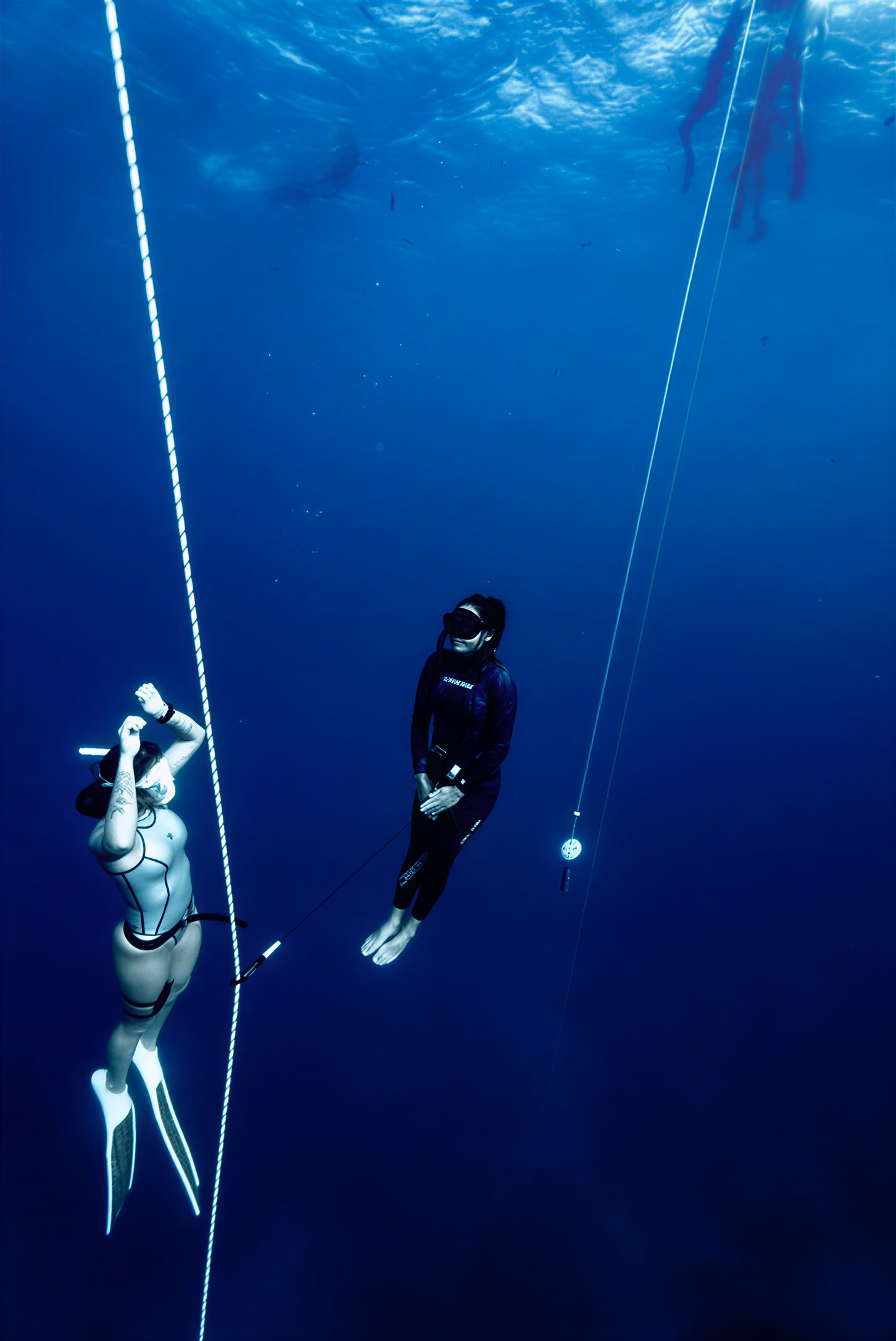TAUCHEN + ERHOLEN + AUFBLÜHEN | FREEDIVING | ATEM | MINDSET