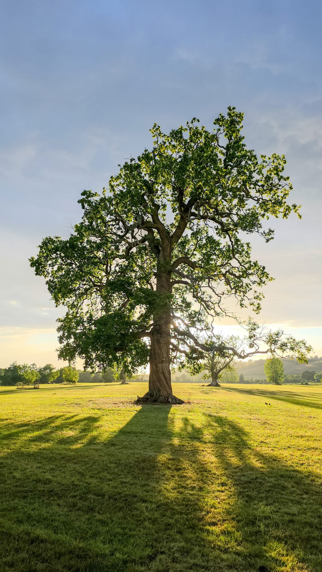 Vipassana Insight Meditation Retreat – 31. Aug – 6. Sept
