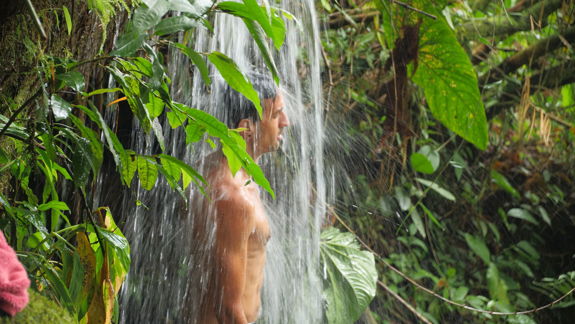 Ayahuasca & Somatische Reise