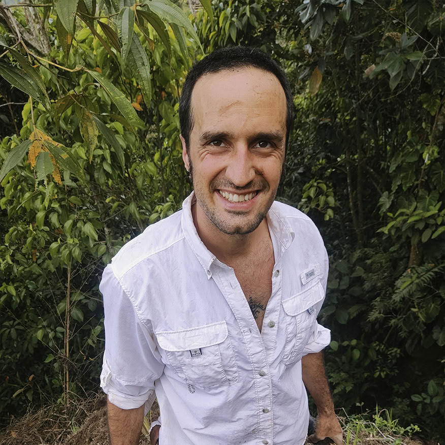 Ayahuasca & Somatische Reise