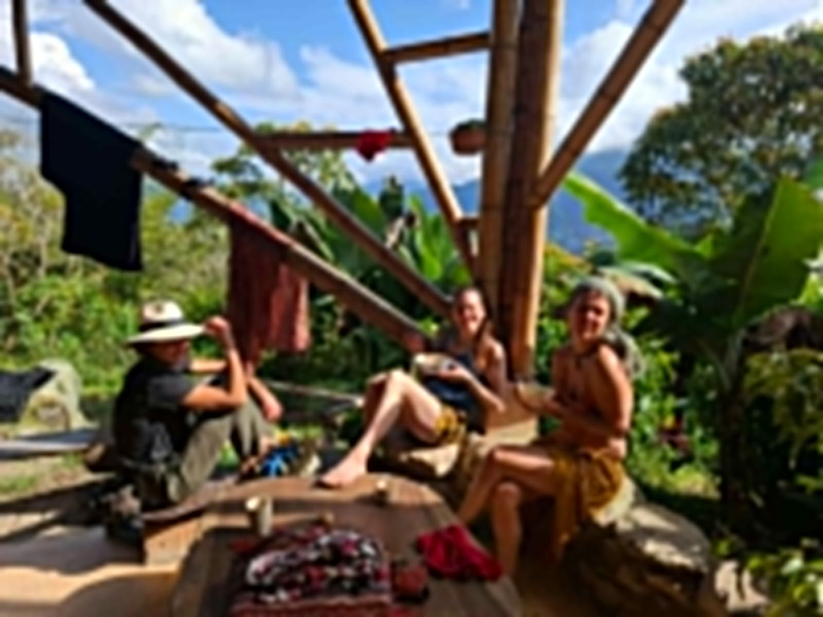 Ayahuasca & Somatische Reise
