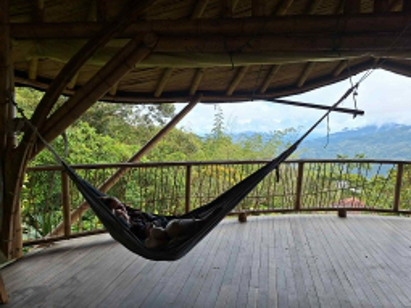 Ayahuasca & Somatische Reise