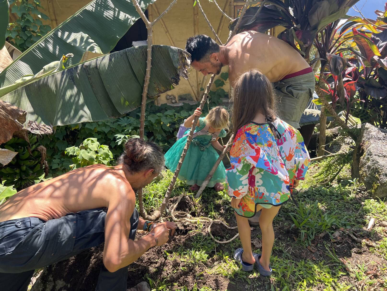 Ayahuasca & Somatische Reise