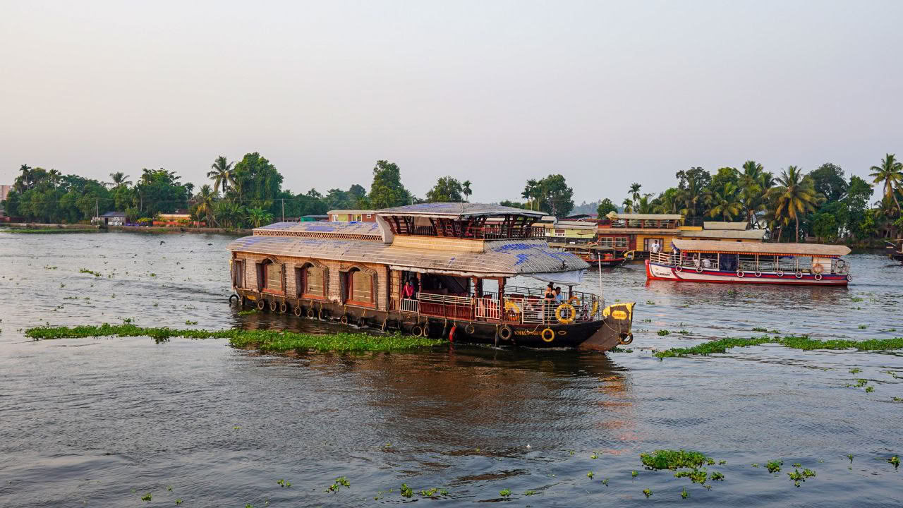Ultimatives ayurvedisches Detox | Eine Reise der Heilung und Erneuerung in Kerala