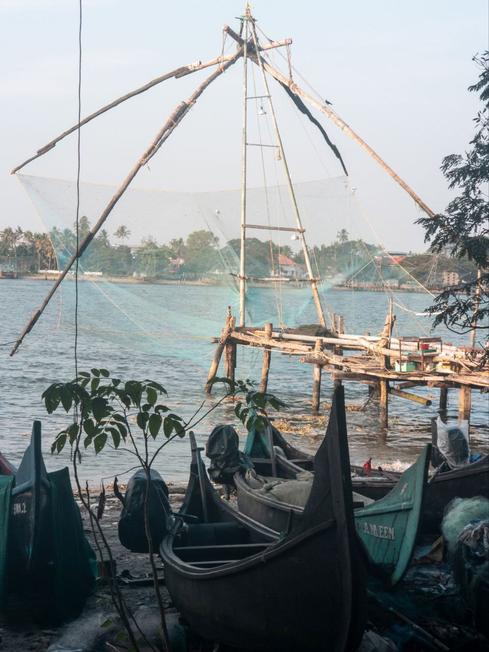 Ultimatives ayurvedisches Detox | Eine Reise der Heilung und Erneuerung in Kerala
